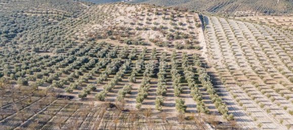 54273m² Land in Vegas del Genil, Spain No. 175724 41