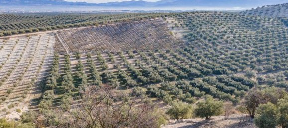 54273m² Land in Vegas del Genil, Spain No. 175724 36