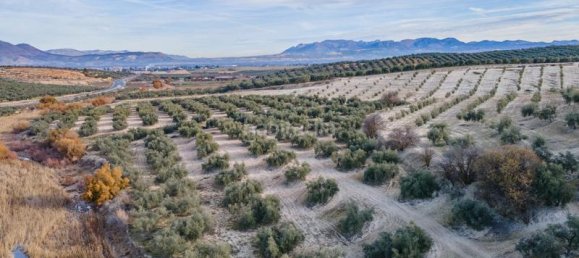 54273m² Land in Vegas del Genil, Spain No. 175724 25