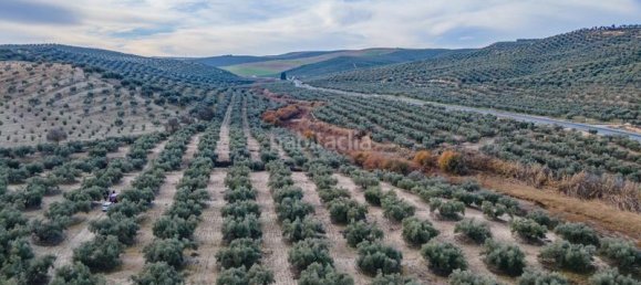 54273m² Land in Vegas del Genil, Spain No. 175724 14