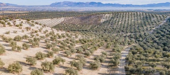 54273m² Land in Vegas del Genil, Spain No. 175724 57