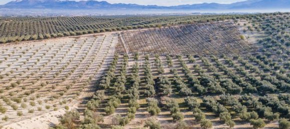 54273m² Land in Vegas del Genil, Spain No. 175724 39