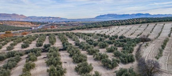54273m² Land in Vegas del Genil, Spain No. 175724 16