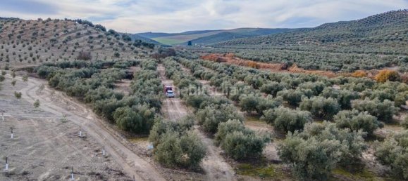 54273m² Land in Vegas del Genil, Spain No. 175724 10