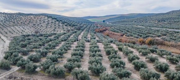 54273m² Land in Vegas del Genil, Spain No. 175724 2