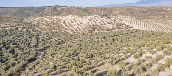 54273m² Land in Vegas del Genil, Spain No. 175724 54