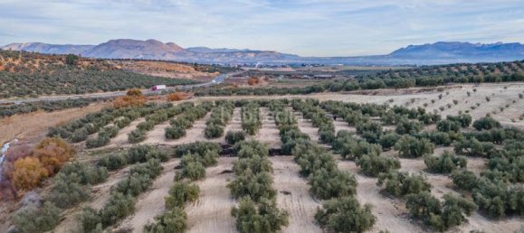 54273m² Land in Vegas del Genil, Spain No. 175724 17