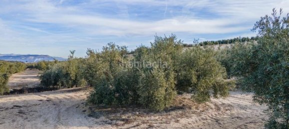 54273m² Land in Vegas del Genil, Spain No. 175724 29