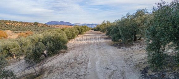 54273m² Land in Vegas del Genil, Spain No. 175724 27