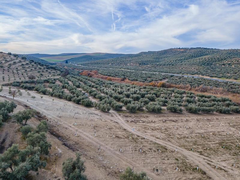 54273m² Land in Vegas del Genil, Spain No. 175724