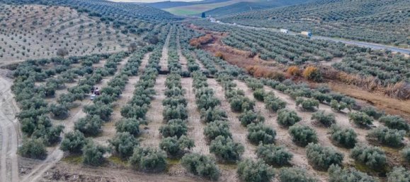 54273m² Land in Vegas del Genil, Spain No. 175724 6