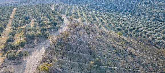 54273m² Land in Vegas del Genil, Spain No. 175724 47