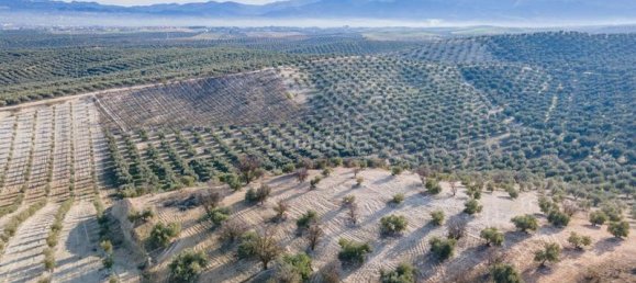 54273m² Land in Vegas del Genil, Spain No. 175724 33