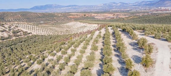 54273m² Land in Vegas del Genil, Spain No. 175724 50