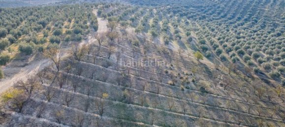54273m² Land in Vegas del Genil, Spain No. 175724 49