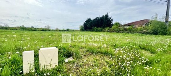 1240m² Land in Ain, France No. 304883 2