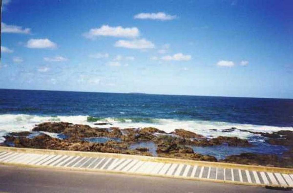 2 bedrooms Apartment in Maldonado, Uruguay No. 5841