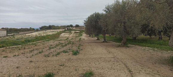 Studio à Pachino, Italy No. 60405 20