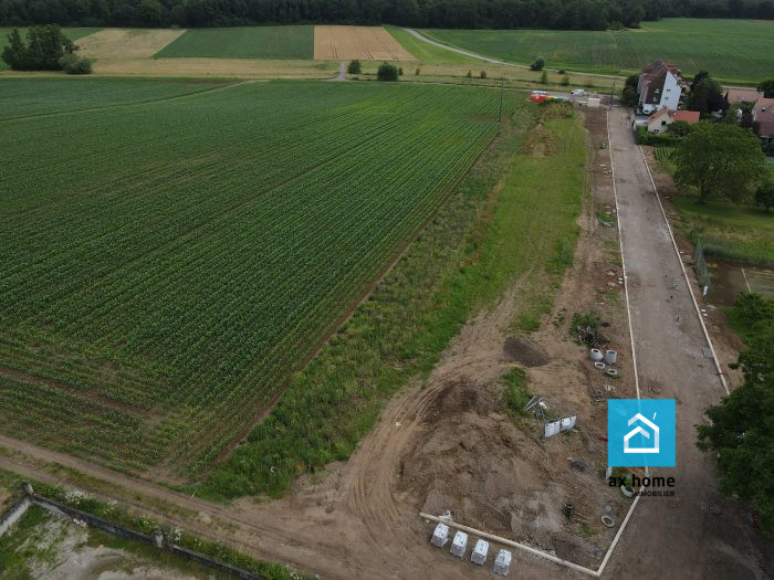 Terrain à Olwisheim, France No. 56358