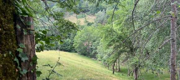 10 Schlafzimmer Haus in Oderen, France, Nr. 91618 21