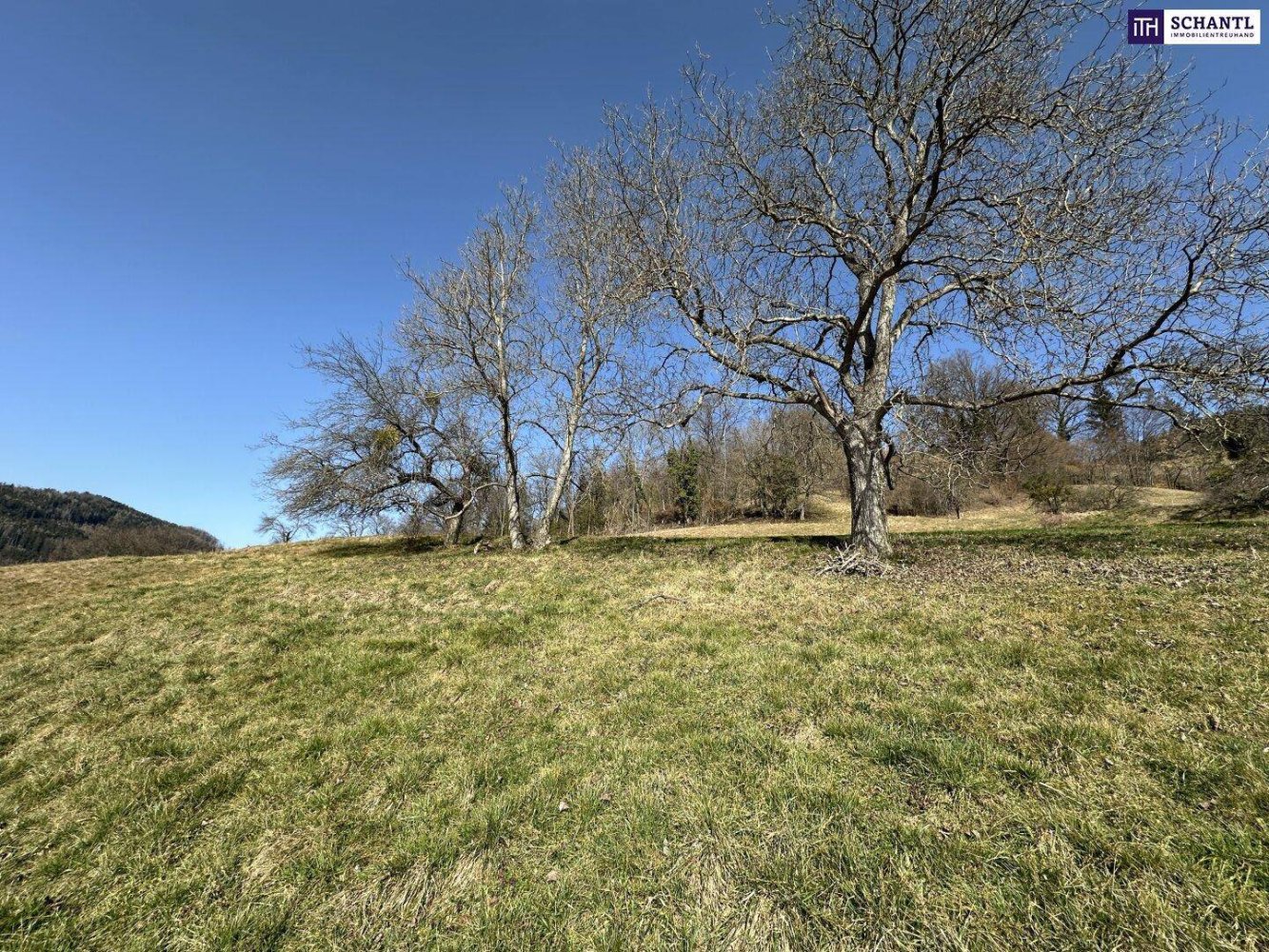 Terrain à Deutschfeistritz, Austria 500m² No. 162532