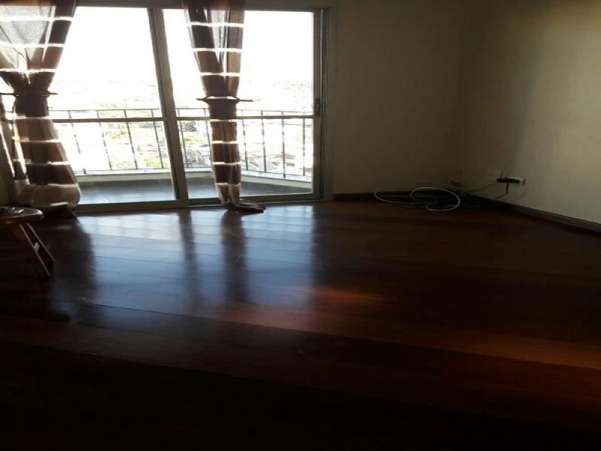 استوديو في Sao Paulo, Brazil رقم 511954