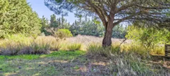 1 bedroom House in Cadiz, Spain No. 166867 31