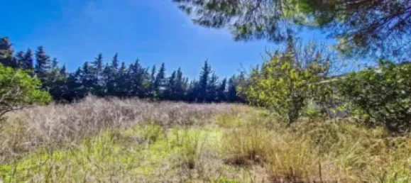 1 bedroom House in Cadiz, Spain No. 166867 26