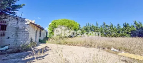 1 bedroom House in Cadiz, Spain No. 166867 29