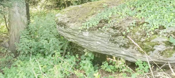 Terreno em Gfohl, Austria N.º 157185 7