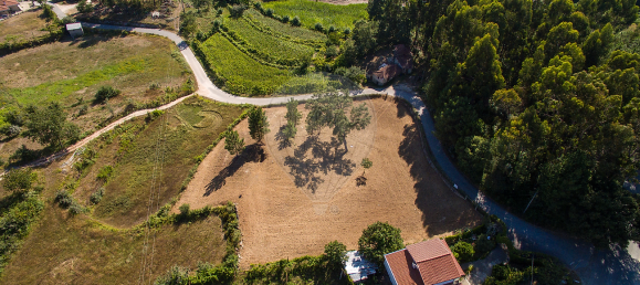 3180m² Land in Agilde, Portugal No. 56645 7