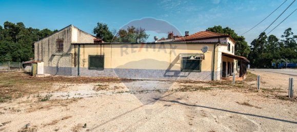 4 bedrooms House in Sangalhos, Portugal No. 189272 34