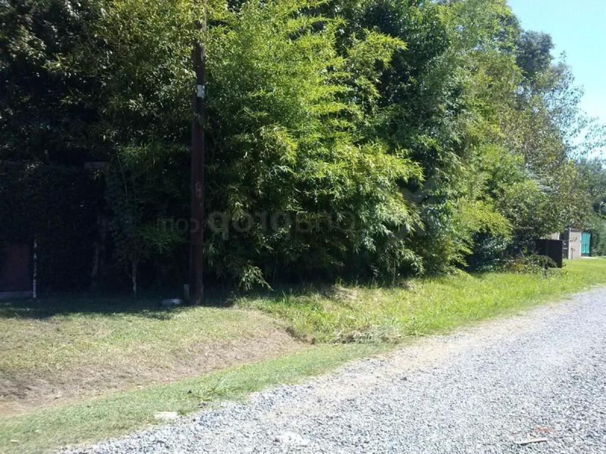  Land in Pilar, Argentina No. 43539