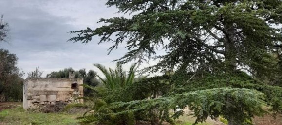 5724m² Land in Carovigno, Italy No. 105416 10