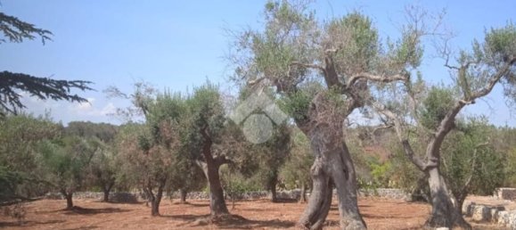 5724m² Land in Carovigno, Italy No. 105416 5