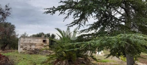 5724m² Land in Carovigno, Italy No. 105416 14