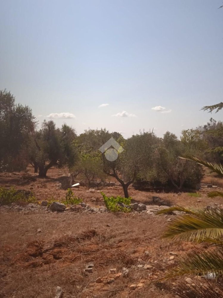 5724m² Land in Carovigno, Italy No. 105416