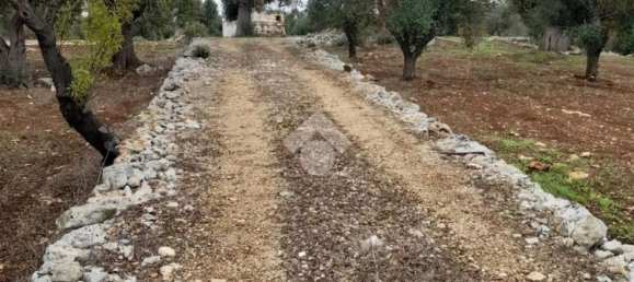 5724m² Land in Carovigno, Italy No. 105416 11