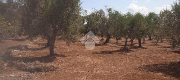 5724m² Land in Carovigno, Italy No. 105416 3