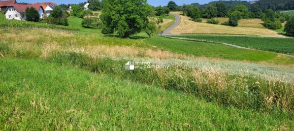 قطعة أرض في Kirchberg an der Raab, Austria رقم 135963 2