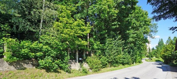  Land in Tullnerbach, Austria No. 217699 7