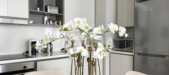 1 غرف نوم شقة في Dubai Harbour, UAE رقم 27744 4