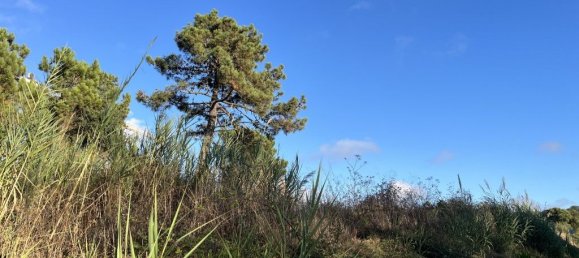  قطعة أرض في Caldas da Rainha, Portugal 2220متر مربع رقم 285170 8