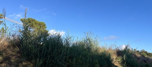  قطعة أرض في Caldas da Rainha, Portugal 2220متر مربع رقم 285170 9