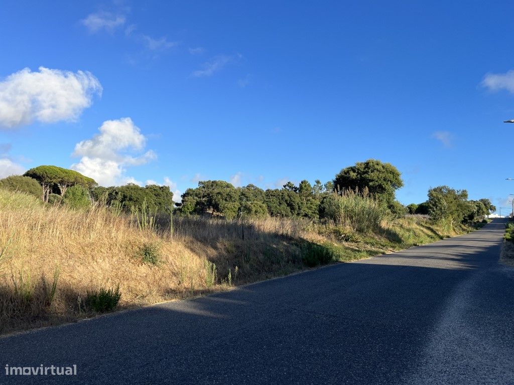 2220m² Land in Caldas da Rainha, Portugal No. 285170