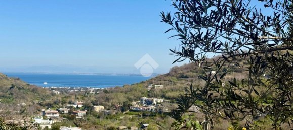 Apartamento de 2 divisões em Barano d'Ischia, Italy N.º 230299 10
