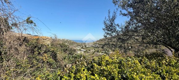 Apartamento de 2 divisões em Barano d'Ischia, Italy N.º 230299 9