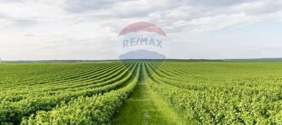 1 room Land in Padua, Italy No. 175421 6