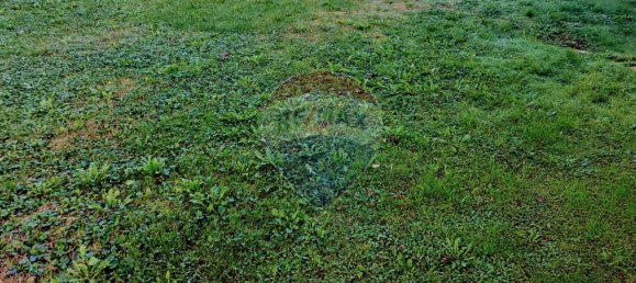 1 room Land in Padua, Italy No. 175421 2