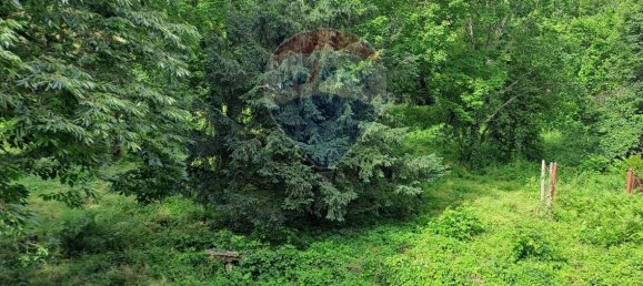 1 room Land in Padua, Italy No. 175421 12